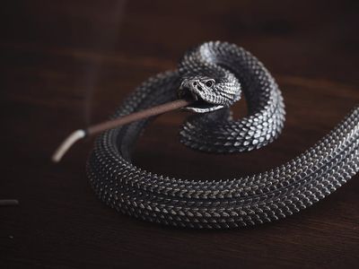 Zen corner with a small plant and incense burner.